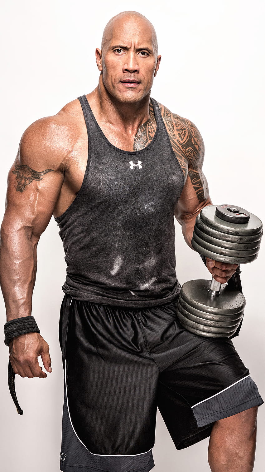 327391 Dwayne, Johnson, Actor, Workout phone , Backgrounds, and, gym poster HD phone wallpaper