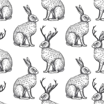 Cryptozoology  jackalope HD wallpaper  Pxfuel