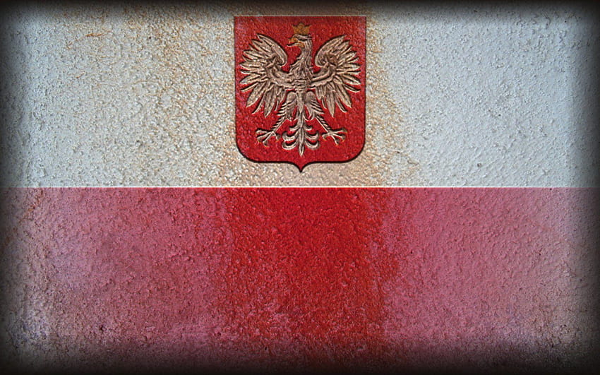 Polish Eagle, polska HD wallpaper