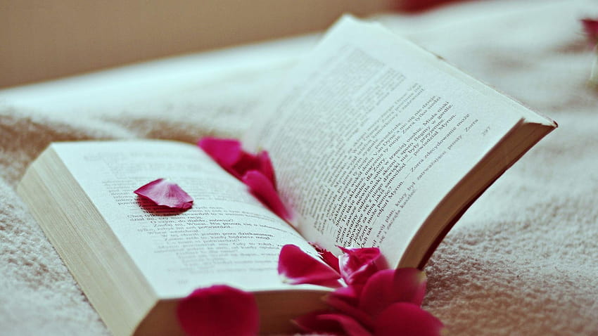 1920x1080 Book, Petals, Rose, Reading Full, reading books HD wallpaper ...