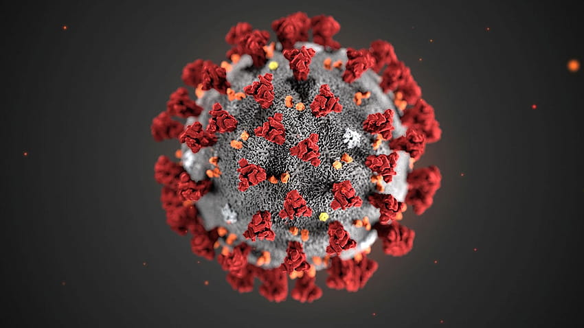 Odpowiedzi ekspertów na temat rozprzestrzeniania się koronawirusa, masek, korona wirusa Tapeta HD