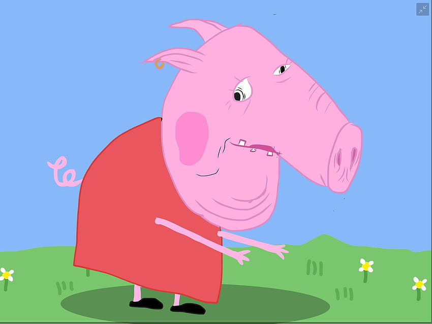 Peppa Pig : PeppaPigMemes, мем на Peppa pig HD тапет