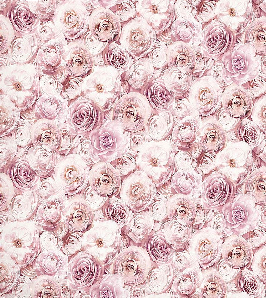 Arthouse Wild Rose Floral Blush สีชมพูกลีบดอกไลแลคสีชมพู วอลล์เปเปอร์โทรศัพท์ HD