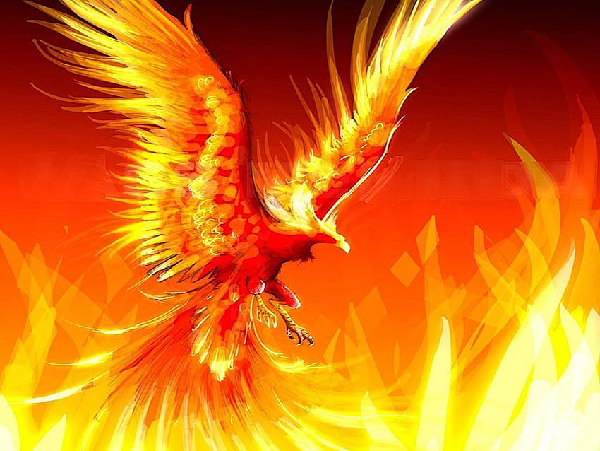 águila de fuego fondo de pantalla | Pxfuel