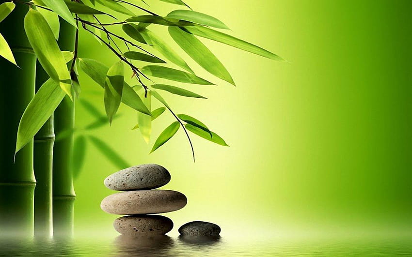 Bamboo tree and special rocks for massage HD wallpaper