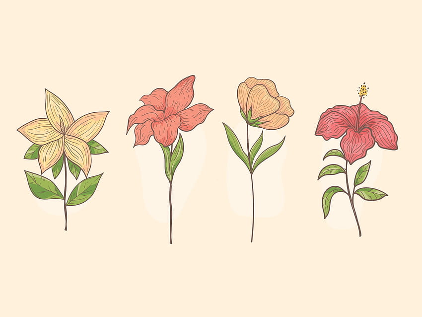 Set of hand drawn flowers, Botanical flower, floral element for textile decoration and 2203300 Vector Art at Vecteezy HD wallpaper