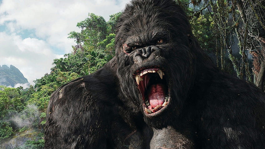 King Kong Ver todos:, Godzilla vs King Kong fondo de pantalla