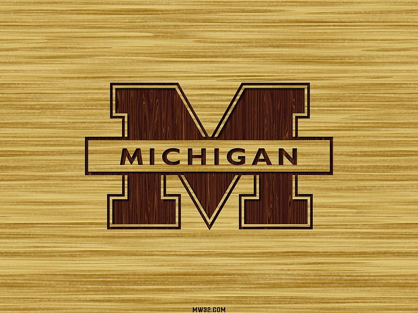 Michigan Basketball, michigan wolverines mens basketball HD wallpaper