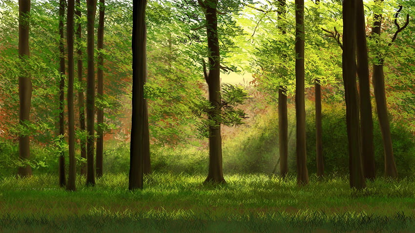 Wix ankitpathareportfolio สร้างโดย ankitpathare88 โดยอ้างอิงจากเกม Hungry พื้นหลังป่าสีเขียวของฉัน วอลล์เปเปอร์ HD