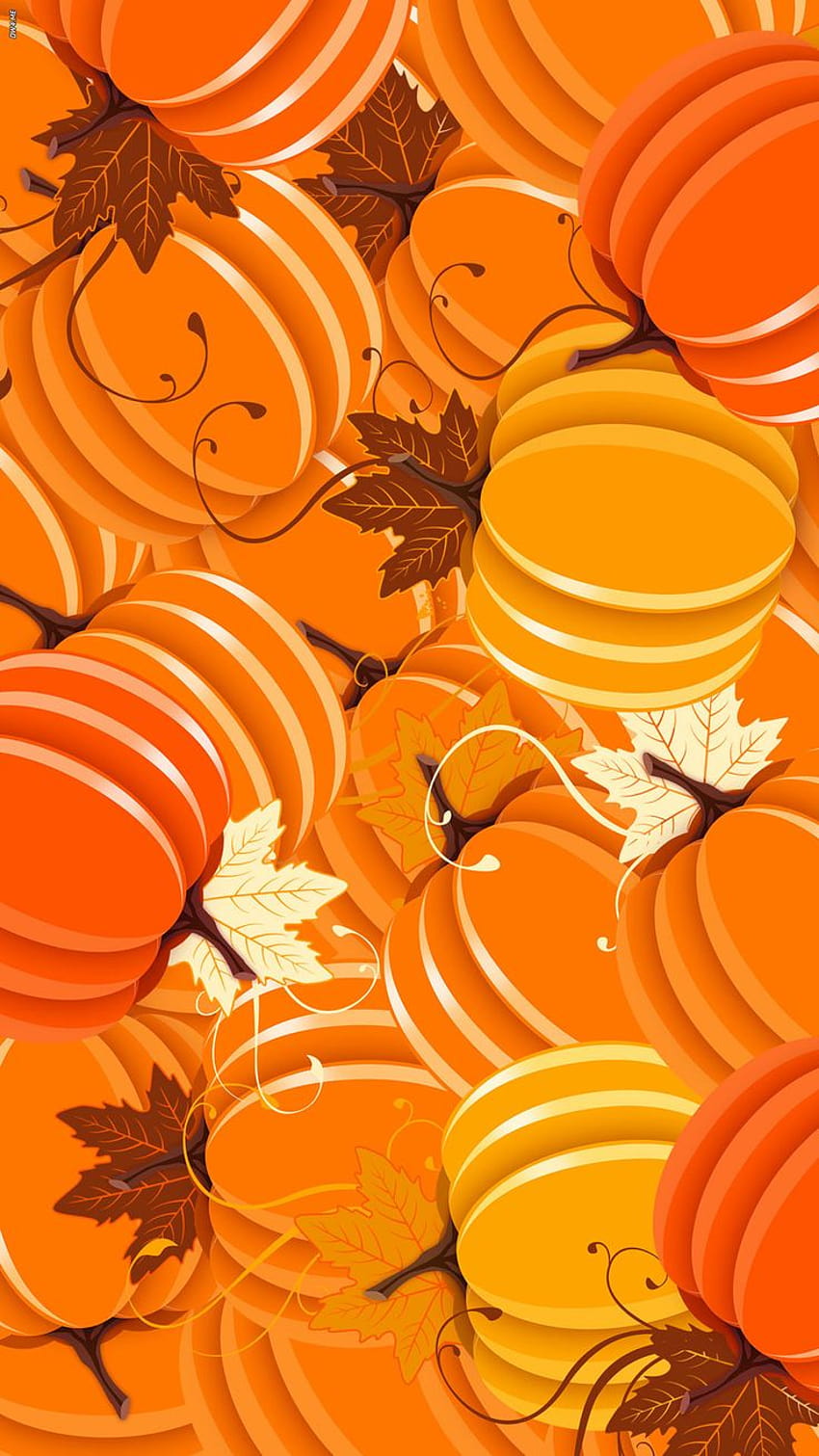 120-best-thanksgiving-ideas-baddies-thanksgiving-hd-phone-wallpaper