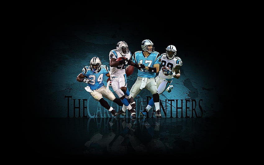 Carolina Panthers Wallpaper 