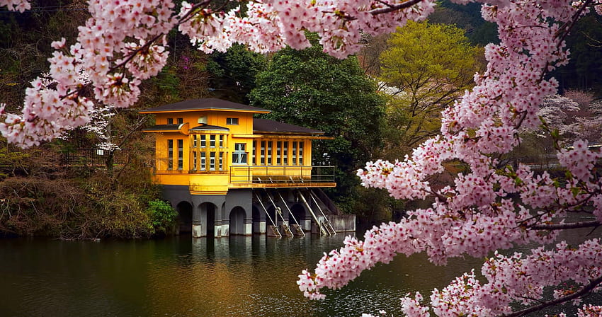 japan honshu island 56 ultra, spring landscape japan HD wallpaper