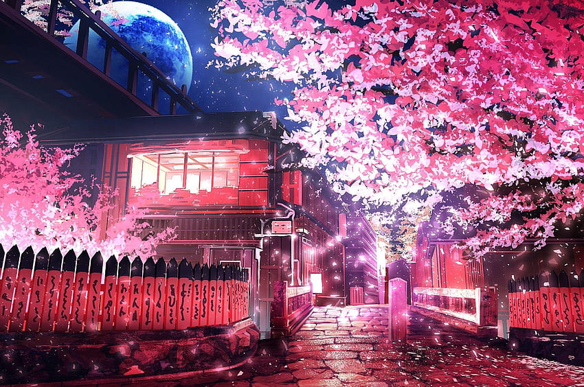 Flor de cerezo de anime, flores de cerezo lofi fondo de pantalla