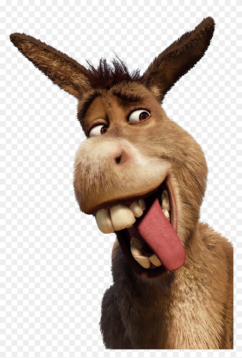 Shrektacular Donkey's Christmas wysokiej jakości, shrek i osioł Tapeta na telefon HD