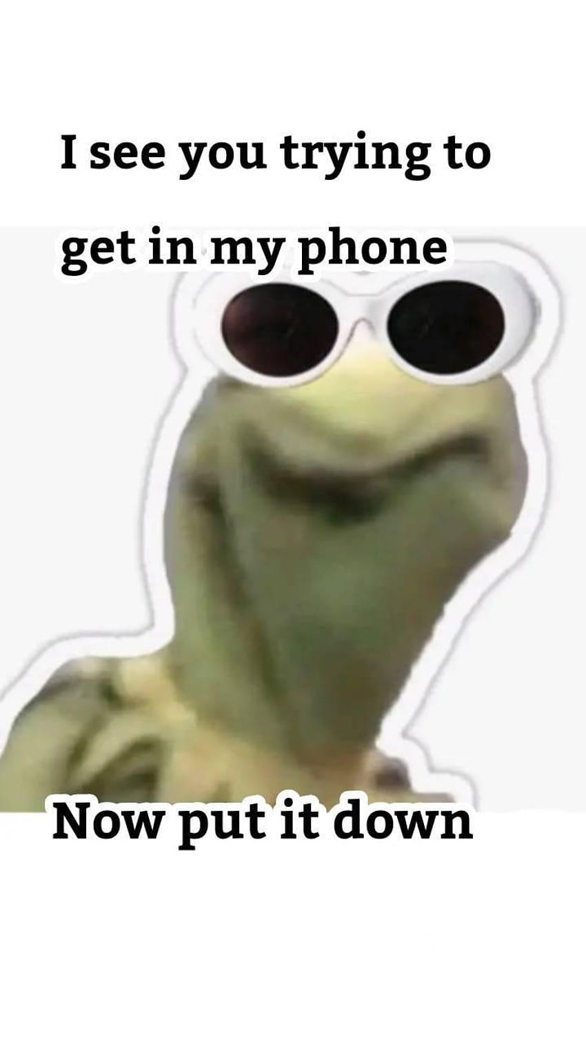 Kermit meme por salzarslytherin, kermit the sapo memes Papel de parede de celular HD