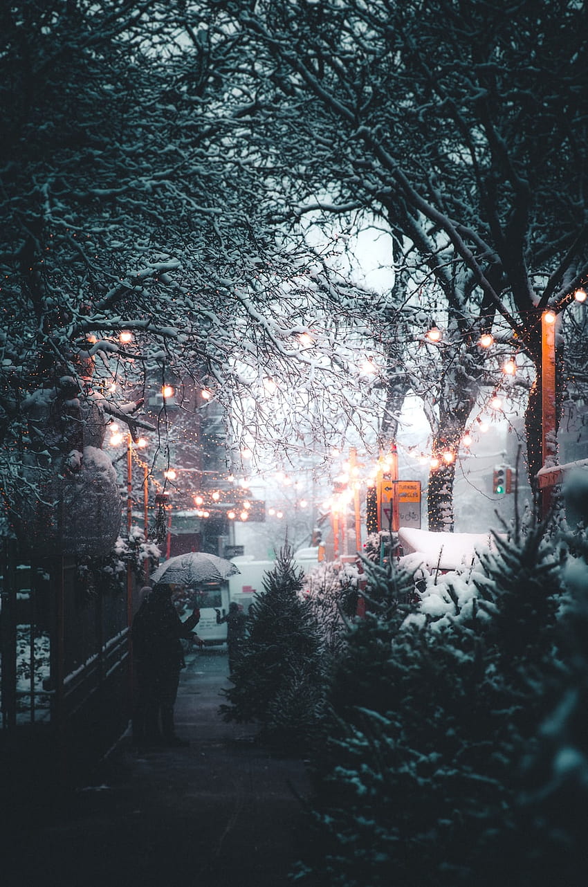 човек, който държи чадър близо до улично осветление и дървета през деня – зима HD тапет за телефон