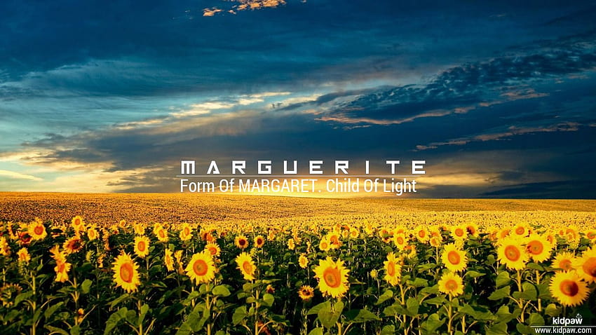 Nom Marguerite 3D pour mobile, écrivez le nom en ligne Fond d'écran HD