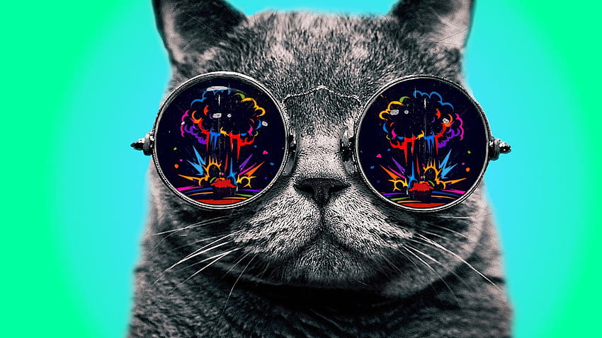 4 メガネをかけたクールな猫、カラフルな猫 高画質の壁紙