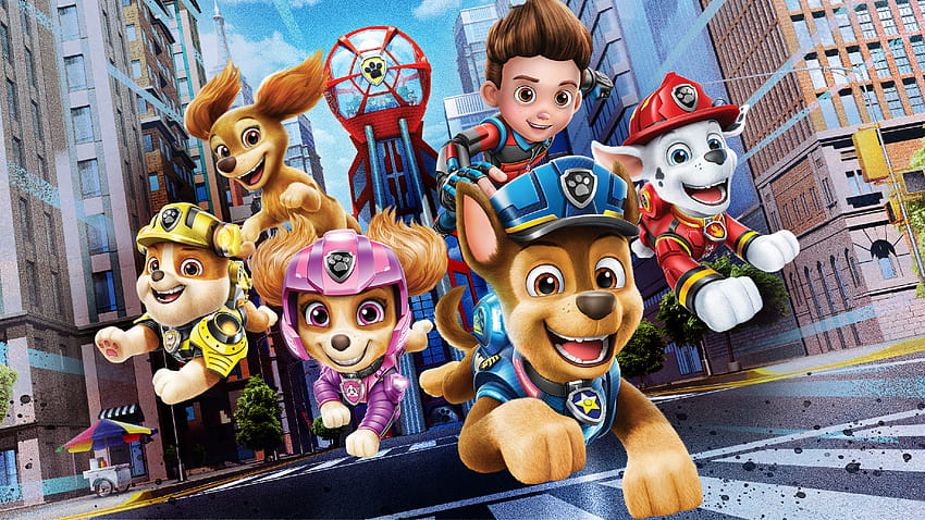 Chase Paw Patrol Wallpapers  Top Free Chase Paw Patrol Backgrounds   WallpaperAccess