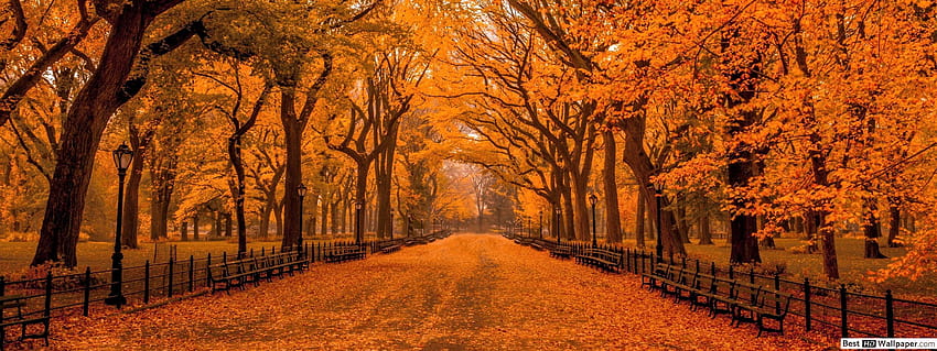 Central Park'ta sonbahar, sonbahar günü üçlü monitör HD duvar kağıdı