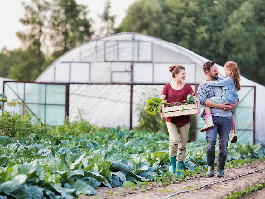 small-backyard-farm-learn-the-basics-of-starting-a-small-farm-small