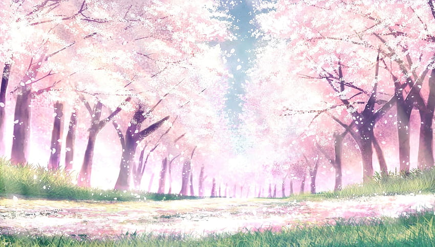 Kwiat Wiśni, Kraj Anime, Sakura Bloom, Ścieżka, Wiosna, Drzewa, drzewo kwitnące anime Tapeta HD