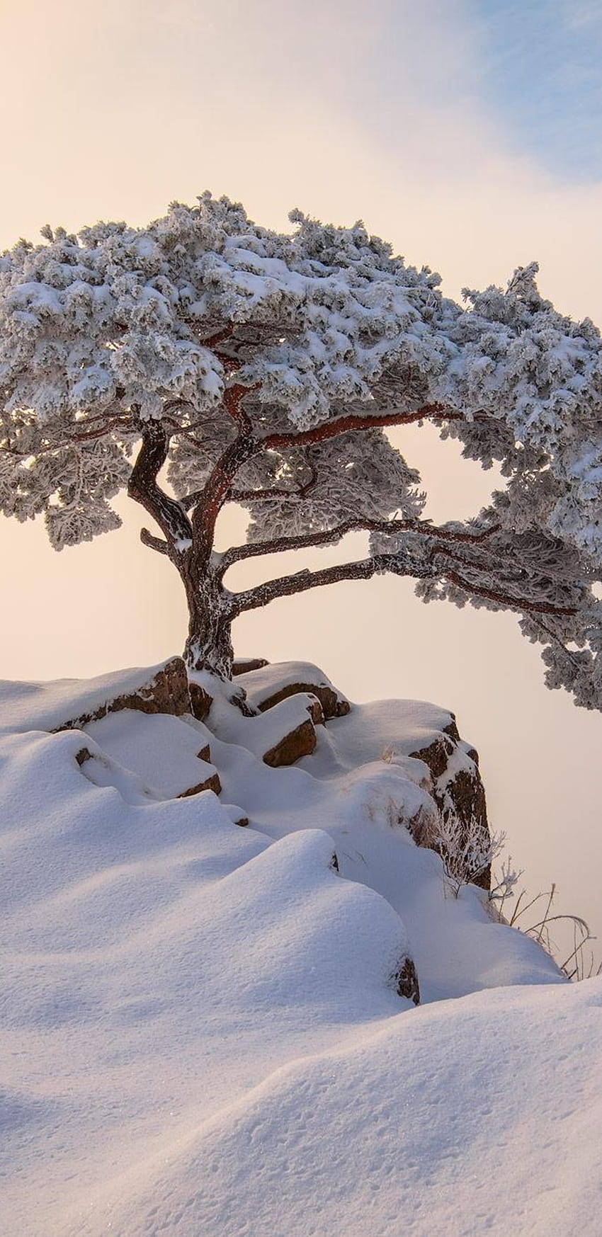 Mùa đông luôn là thời điểm đẹp nhất để tạo ra những bức ảnh tuyệt đẹp, đặc biệt là khi chúng ta sử dụng sản phẩm Samsung. Hãy tận hưởng mùa đông tuyệt vời này và xem ngay những bức ảnh về Winter Samsung trên trang web của chúng tôi.