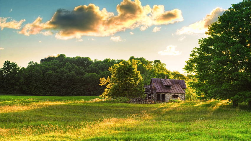 Old house in the middle on the green field HD wallpaper