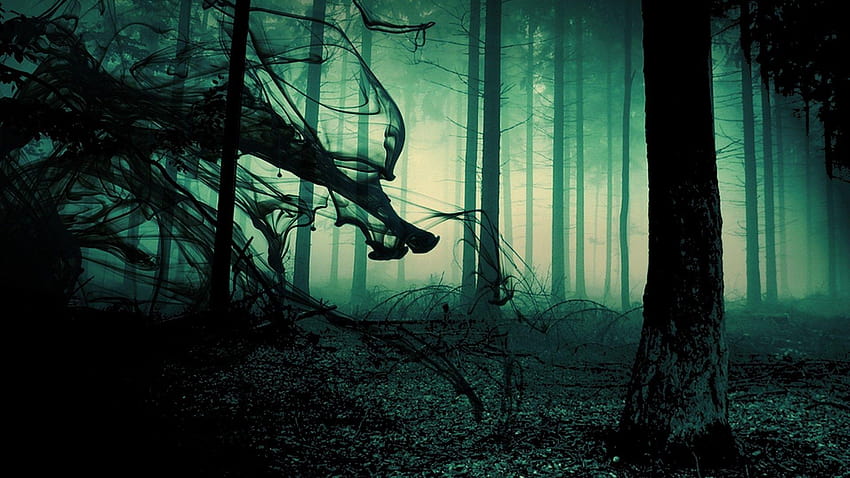 Floresta assustadora cheia de árvores de natureza escura para laptop, floresta proibida papel de parede HD