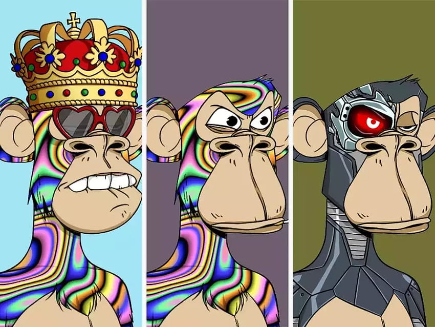 Bored Ape NFT sells for $2.7 million, making it the most expensive in the Yacht Club HD wallpaper