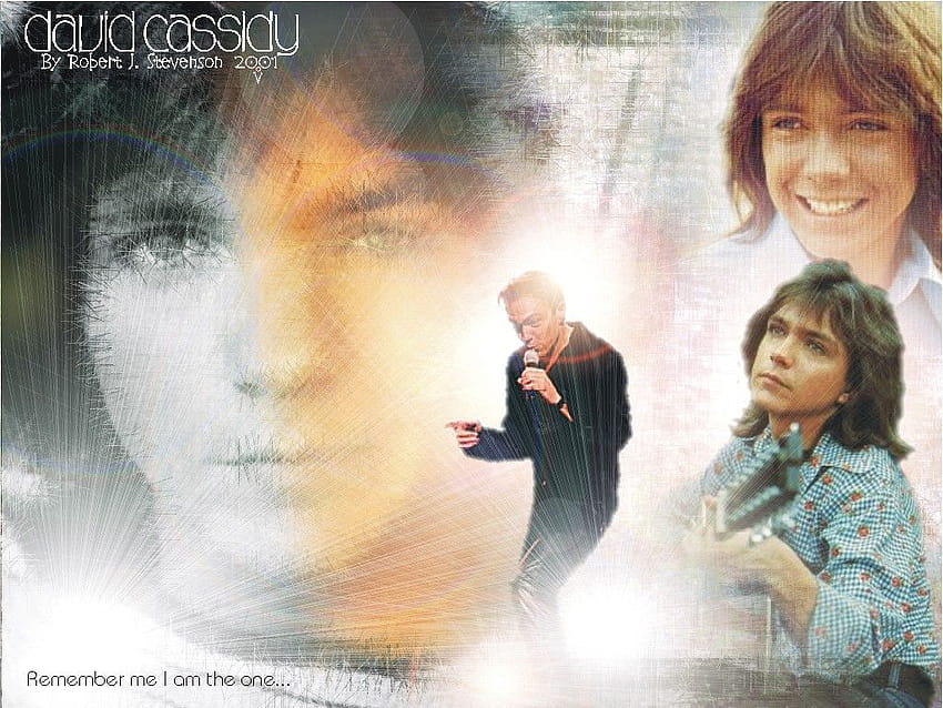 David Cassidy Fansite Of Norway Hd Wallpaper Pxfuel 9151