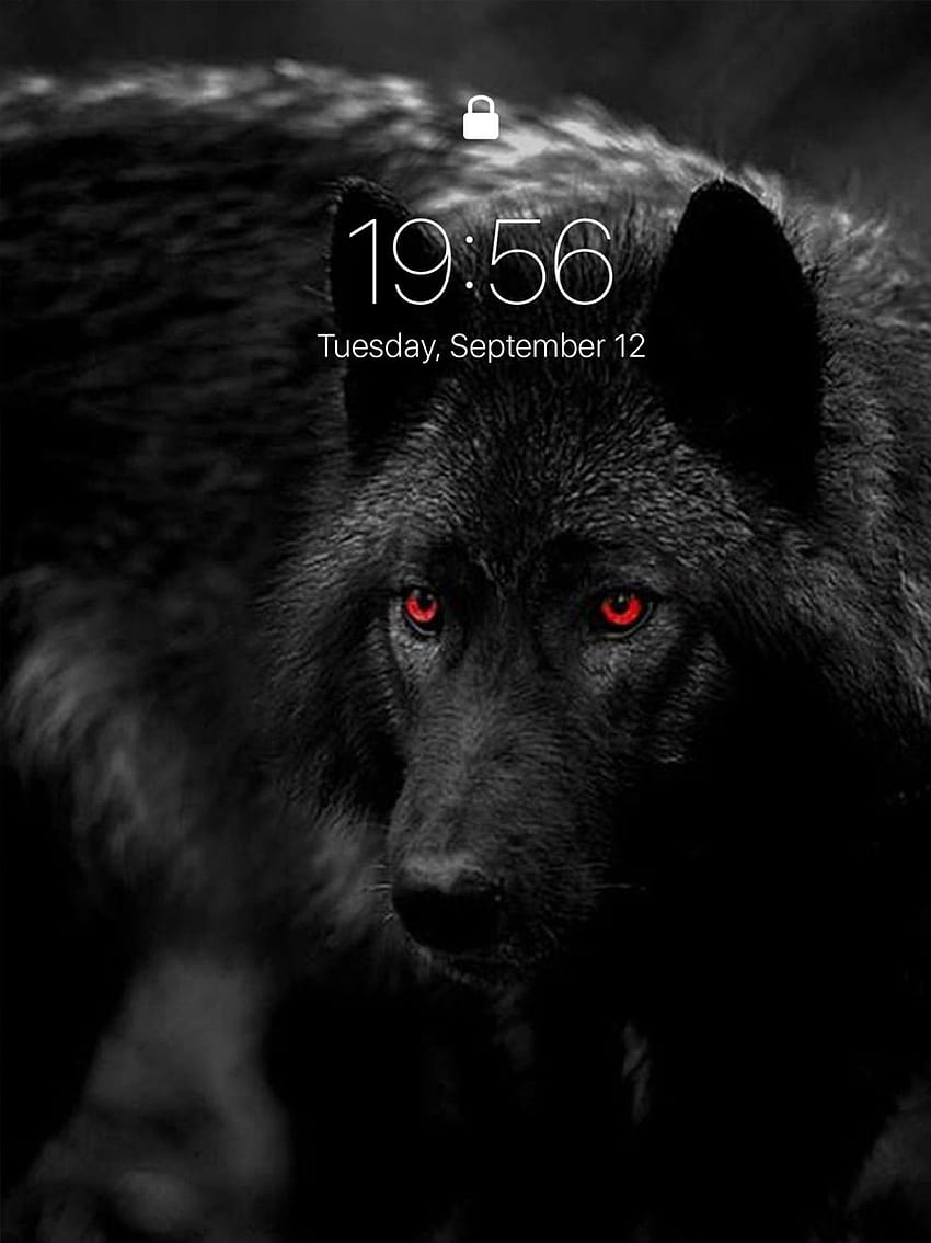 Download Majestic Lone Wolf in a Dense Forest Wallpaper | Wallpapers.com