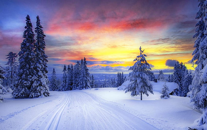 冬の木 雪に覆われた道 日没、雪に覆われた道 冬の風景 高画質の壁紙