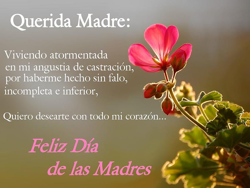 Frases De Amor Hacia Una Madre, feliz dia de las madres HD wallpaper