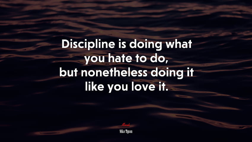 658730 Discipline is doing what you hate to do, but nonetheless doing it like you love it. HD wallpaper