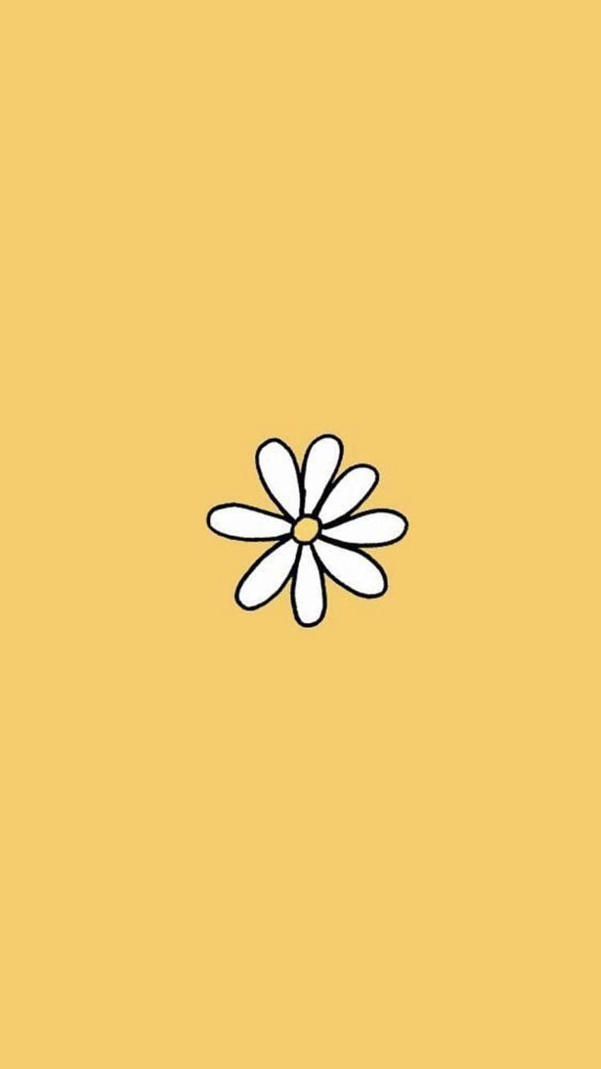 Aesthetic flower yellow daisy backgrounds, aesthetic cute yellow HD phone  wallpaper | Pxfuel