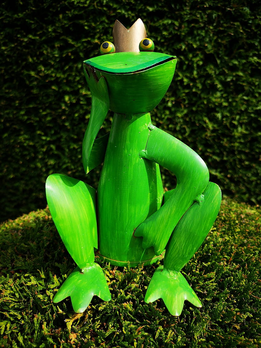 von Frosch, Garten, Natur, Figur, Sommer, Froschgarten HD-Handy-Hintergrundbild