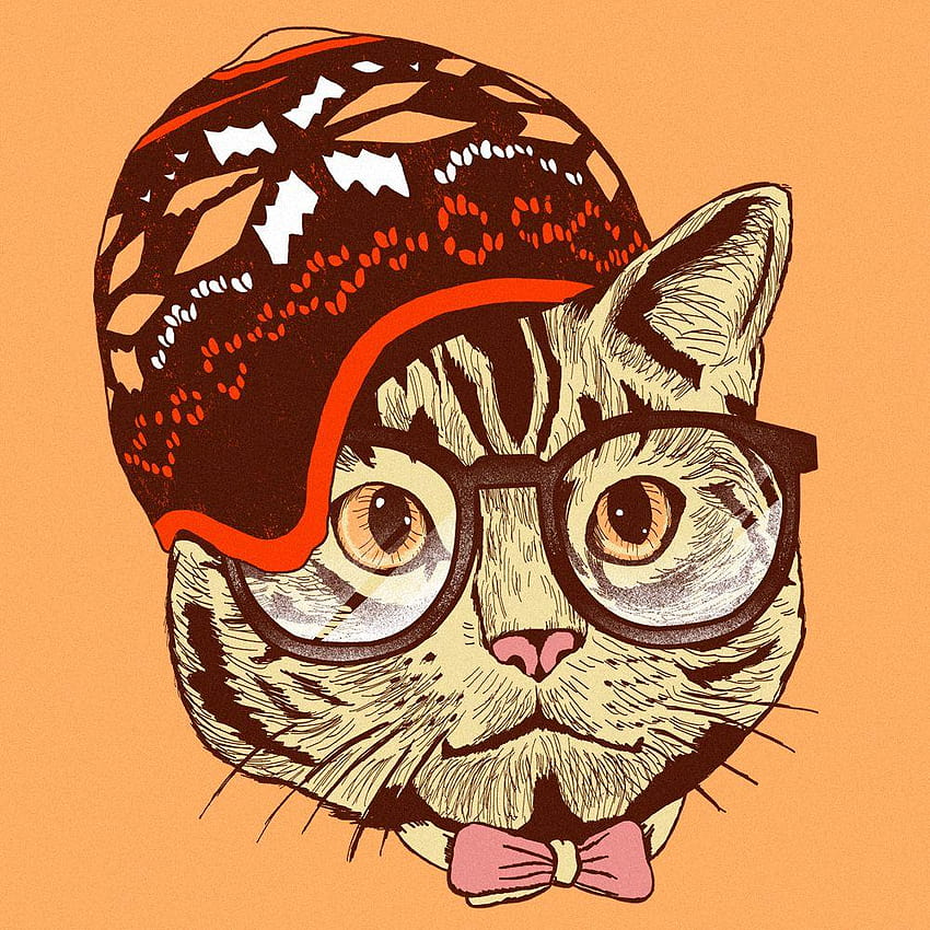 tumblr wallpaper hipster cat