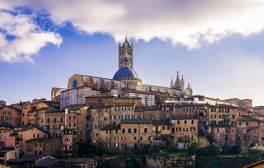 home, Italy, Tuscany, Cathedral, Siena for, tuscany siena HD wallpaper