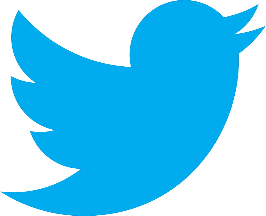 Logo Twittera [4000x3248] dla Twojej ikony Twittera, telefonu komórkowego i tabletu Tapeta HD