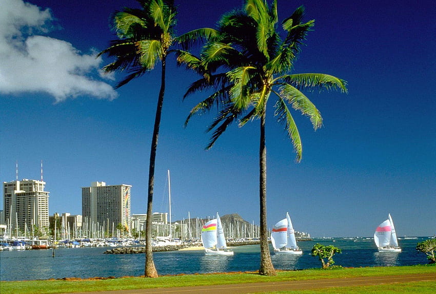 Honolulu Tag : Waikiki Oceans Beach Travel Head Diamond, waikiki beach HD wallpaper
