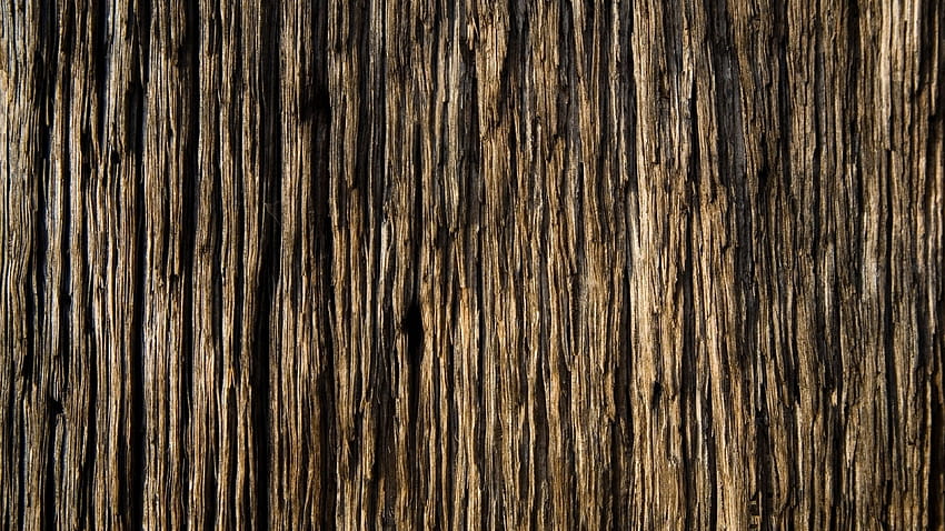 Tree Bark Texture 49759 3840x2160px HD wallpaper