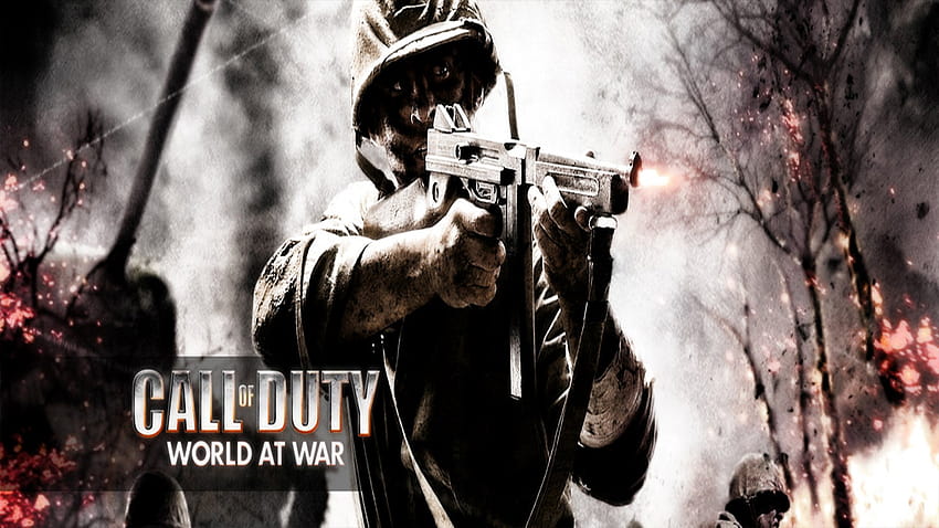 call of duty world at war , backgrounds, call of duty waw HD wallpaper