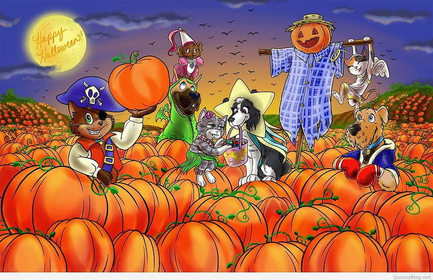 Divertenti simpatici auguri di Halloween felici Cartoni animati per bambini, bambini halloween Sfondo HD