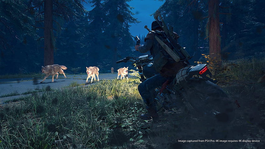 Days Gone Delayed to April 2019; Sony Bend Wants to Move Away From, days gone 2019 HD wallpaper