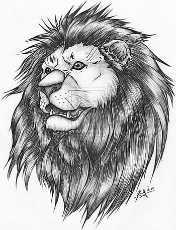 Lion Drawing Tattoo lion mammal cat Like Mammal animals png  PNGWing