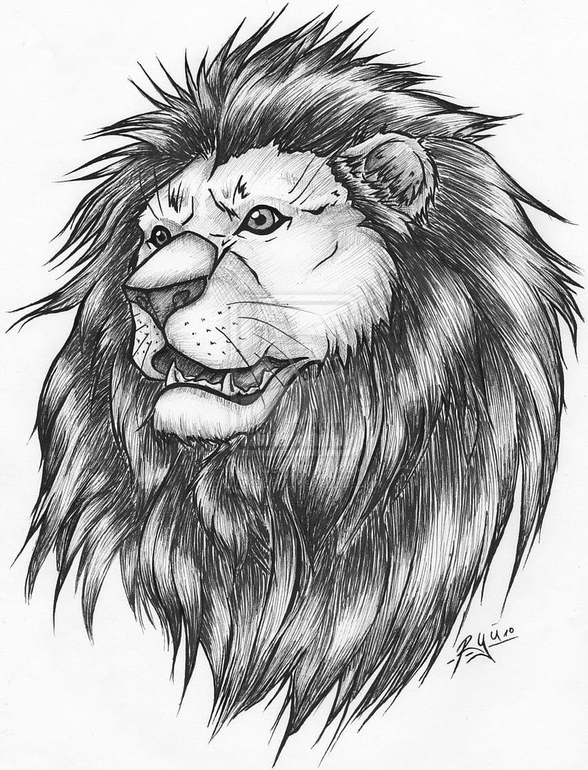 6,600+ Lion Tattoo Stock Photos, Pictures & Royalty-Free Images - iStock |  Fierce lion tattoo
