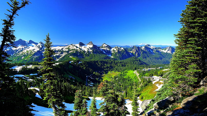 Mount Rainier สหรัฐอเมริกา ฤดูใบไม้ผลิ ต้นไม้ ภูเขา หิมะ 2560x1440 Q , usa spring วอลล์เปเปอร์ HD