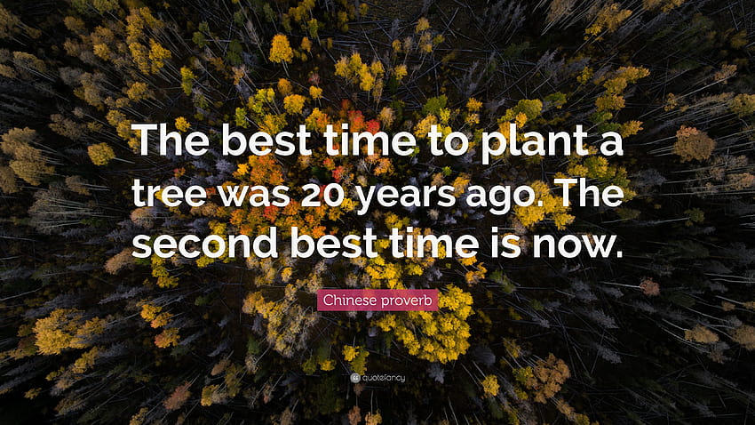 Proverbio cinese Citazione: “Il momento migliore per piantare un albero era di 20 anni, citazione cinese Sfondo HD