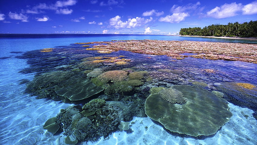 Great Barrier Reef Queensland Australia Beautiful and [1920x1080] for your , Mobile & Tablet, barrier island HD wallpaper